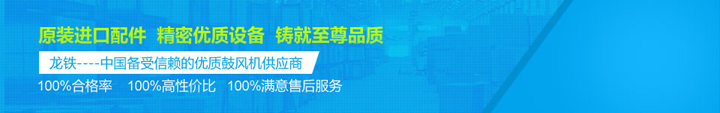 龍鐵締造100%高品質、高性價比鼓風機